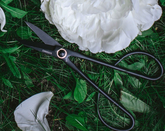 Artisan Trimming Shears