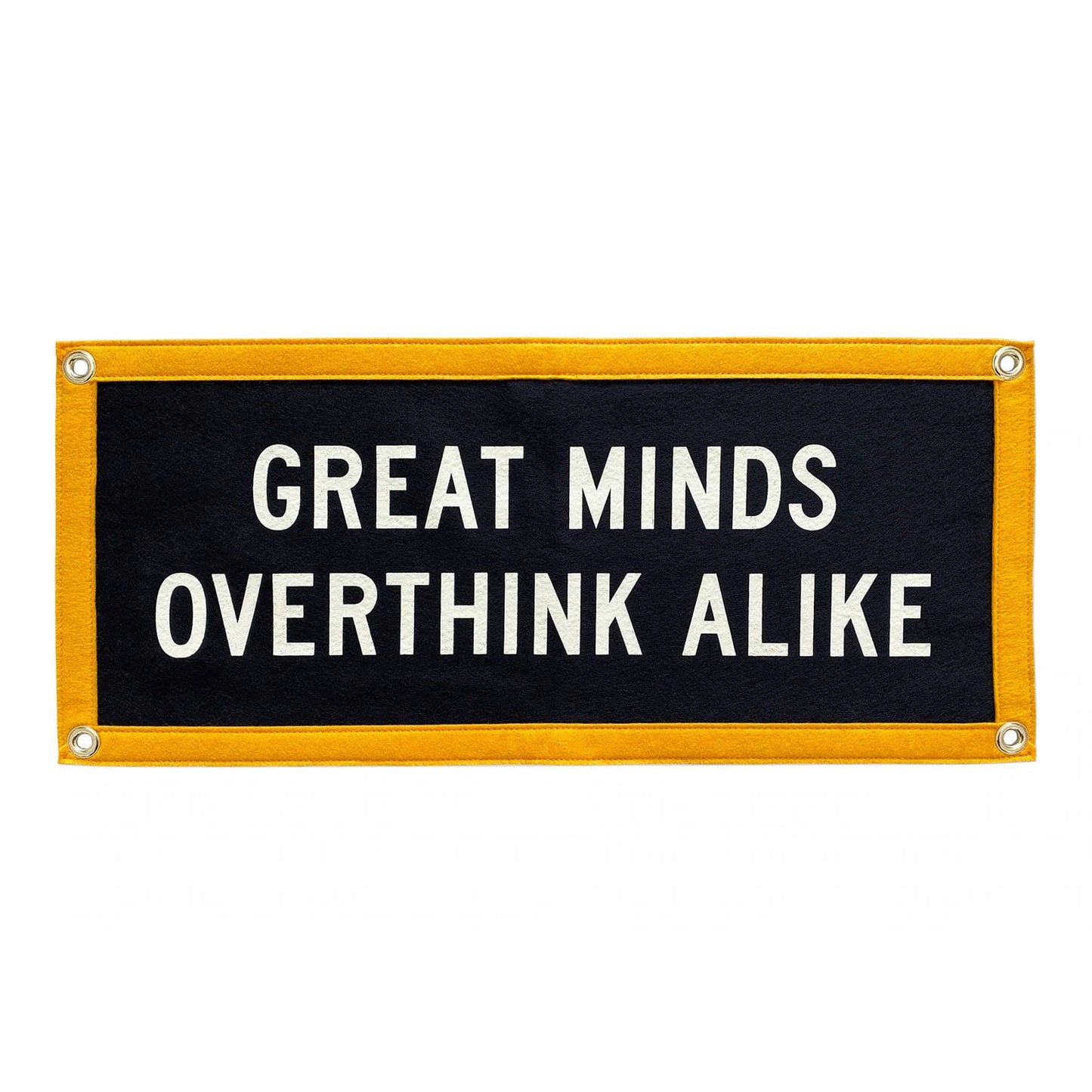 Great Minds Overthink Alike Flag