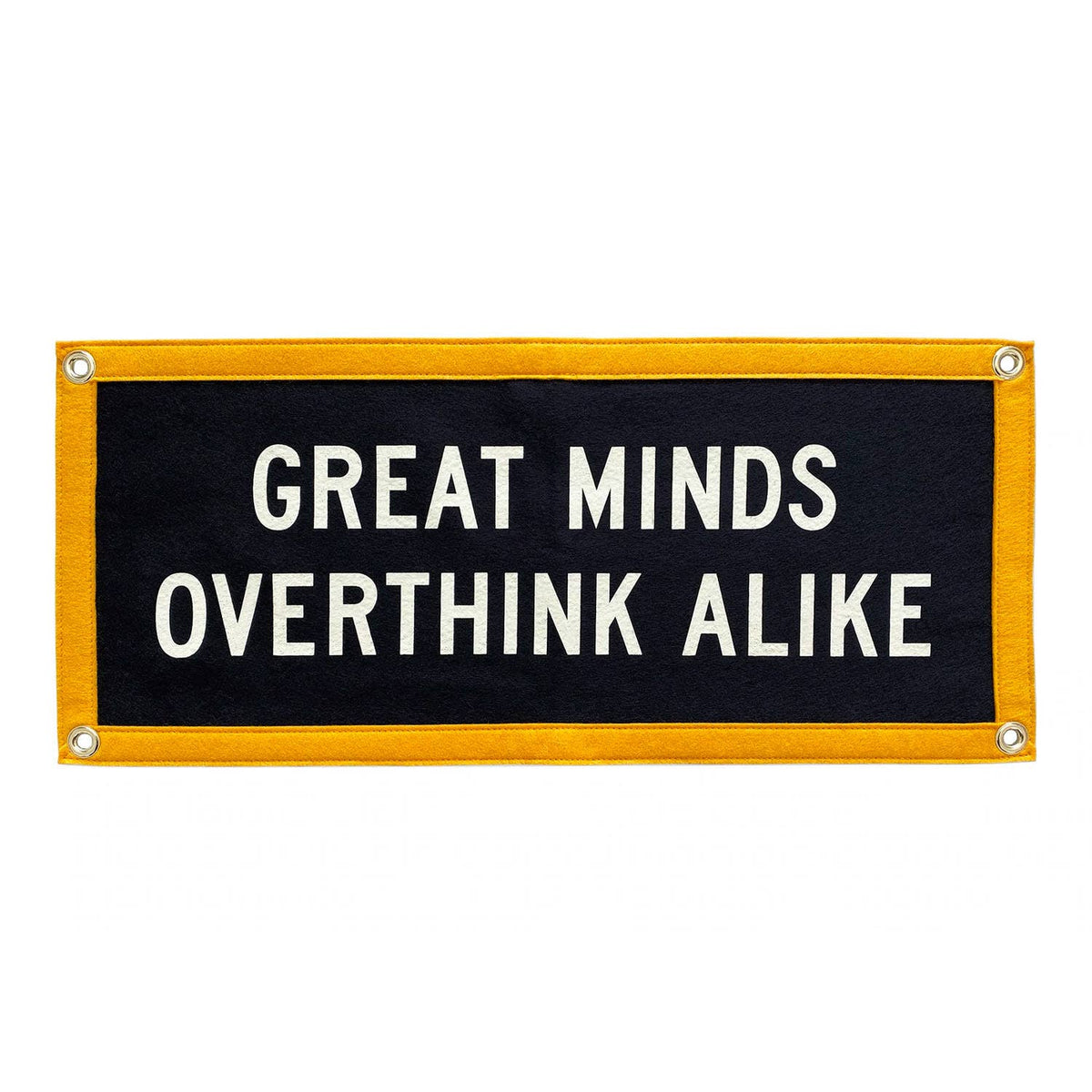 Great Minds Overthink Alike Flag