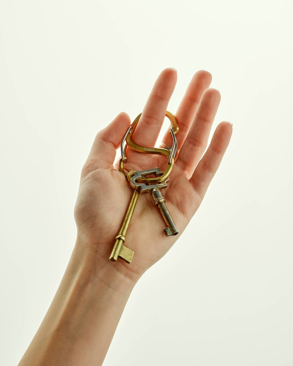 Coachwhip Carabiner: Vapor Black