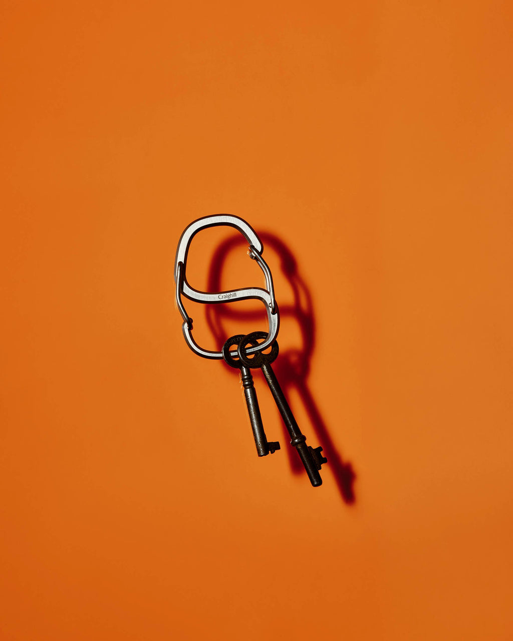 Coachwhip Carabiner: Vapor Black