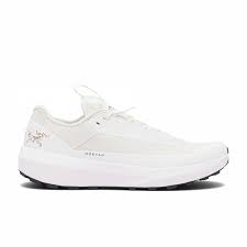 Norvan LD 4 GTX Men - Arctic Silk