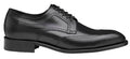 Ellsworth Wingtip