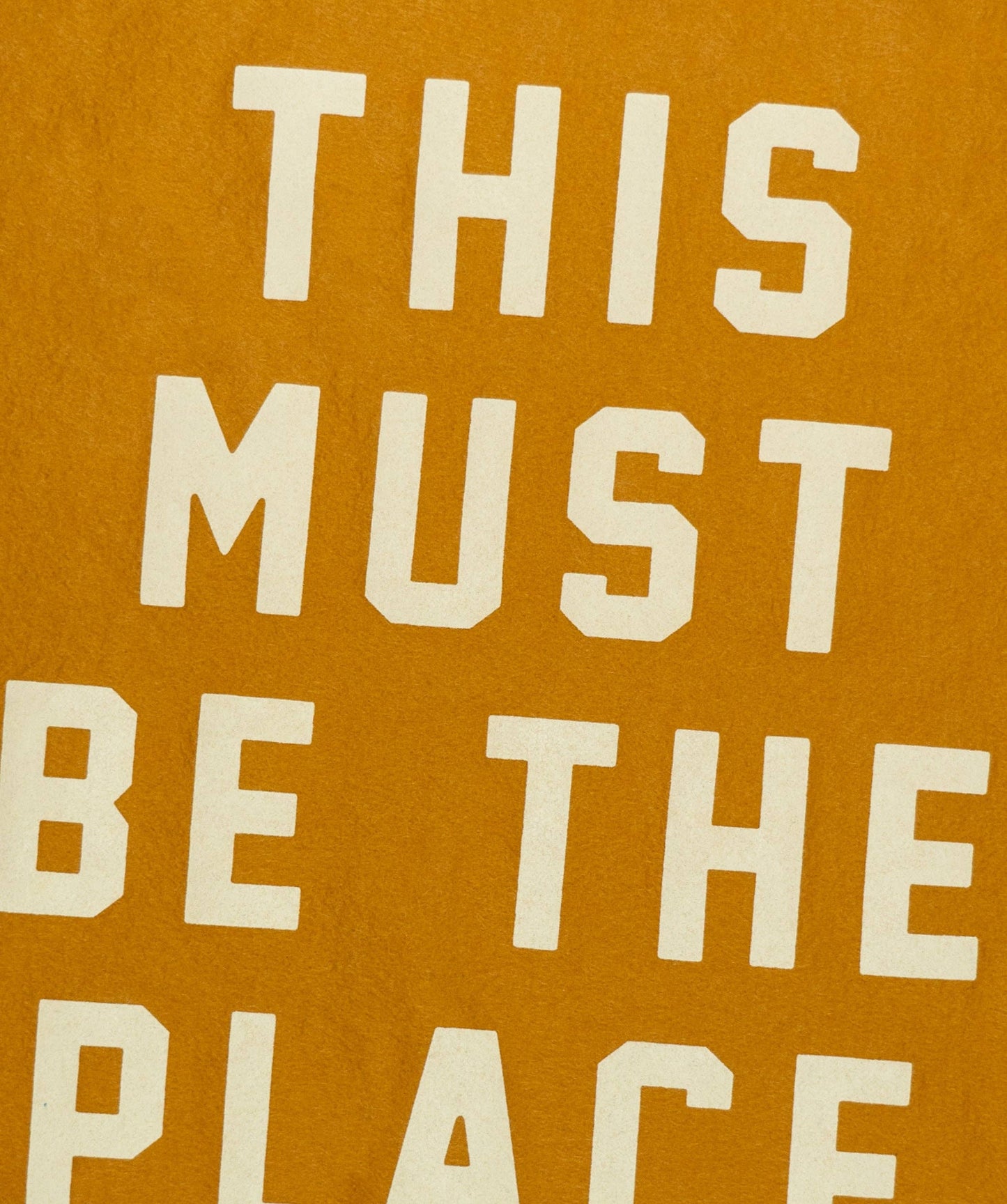 This Must Be The Place Flag